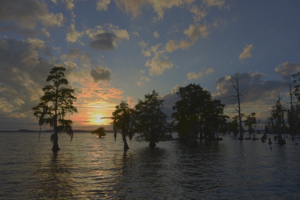 Edenton NC 130818_106 hds600