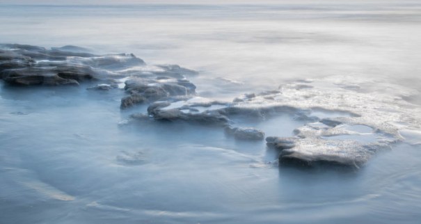 Washington Oaks July 2016