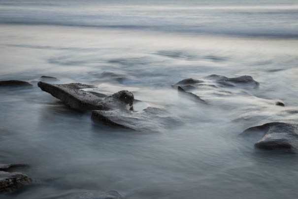 Washington Oaks July 2016