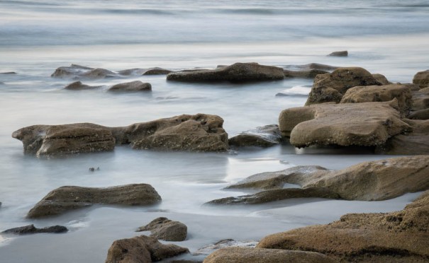 Washington Oaks July 2016